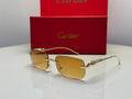 Cartier Glasses | Panthere CT0271S
