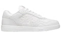 B27 Low 'Dior Gravity - White'