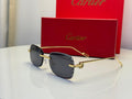 Cartier Glasses | CT0271S 001