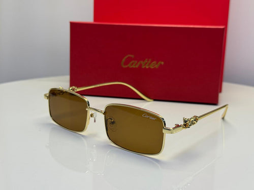 Cartier Glasses | CT0501S