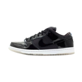 Nike SB Dunk Low Pro Space Jam