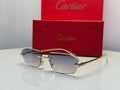 Cartier Glasses | Panthere