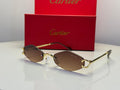Cartier Glasses | CT0433S Sunglasses