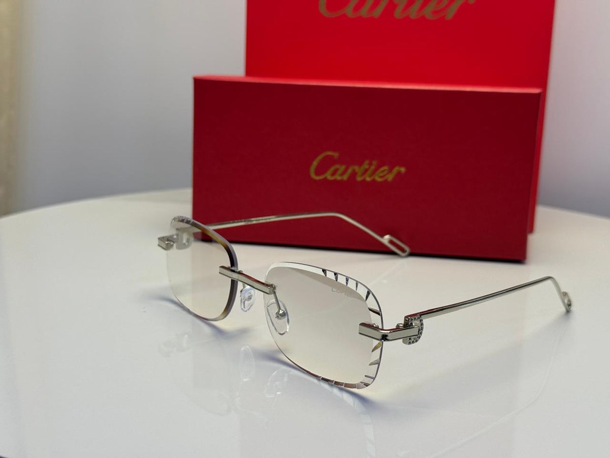 Cartier Glasses | CT0092O Silver