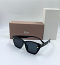 Dior Glasses | Studs 5 Sunglasses