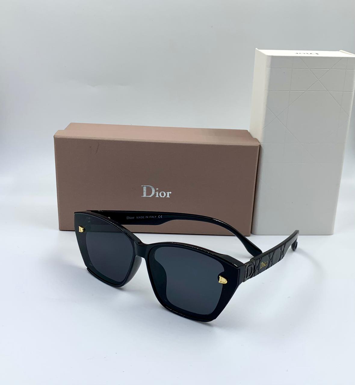 Dior Glasses | Studs 5 Sunglasses