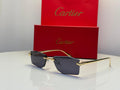 Cartier Glasses | Panthere de