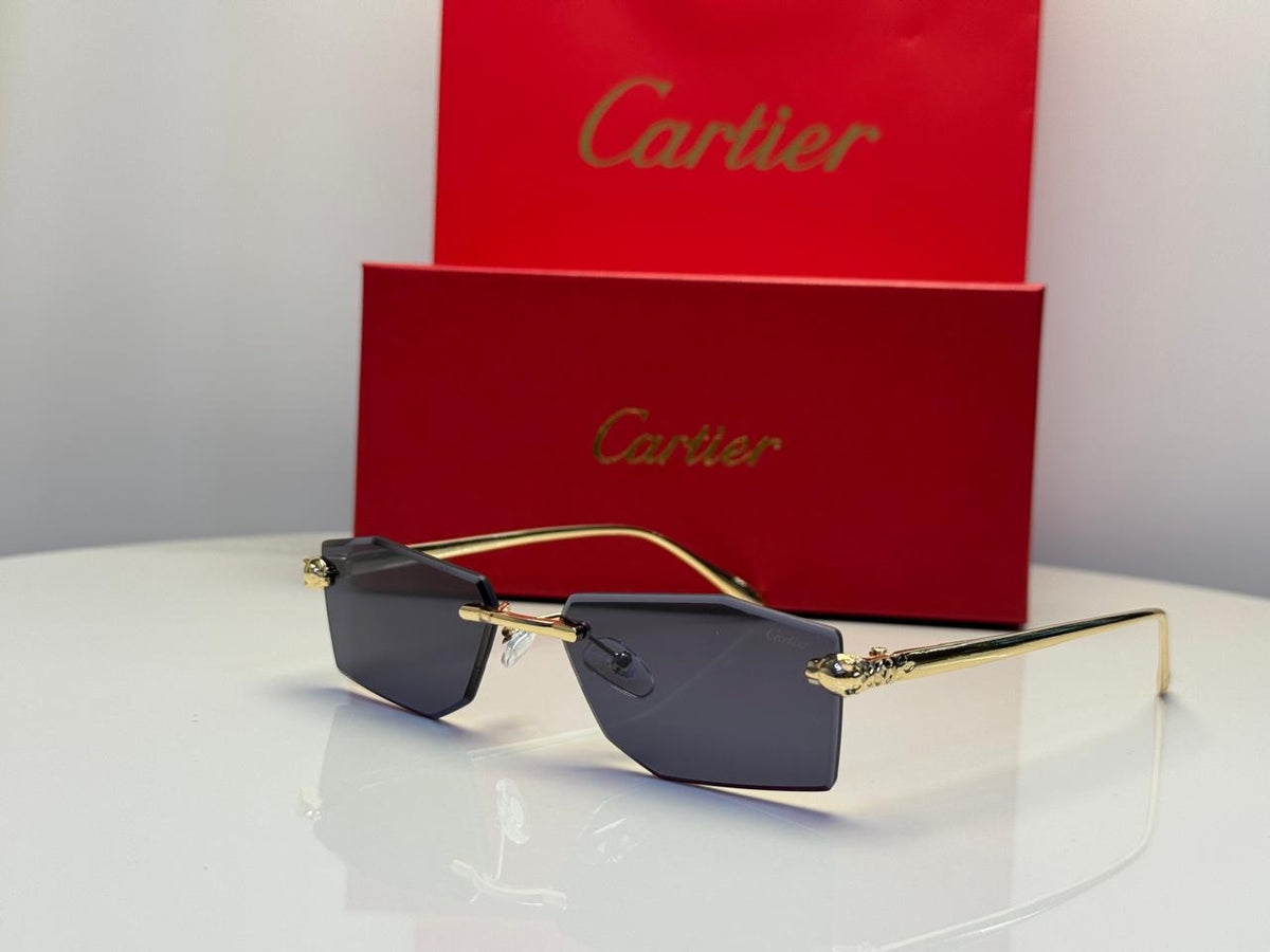 Cartier Glasses | CT0271S