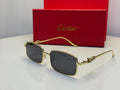 Cartier Glasses | CT0501S
