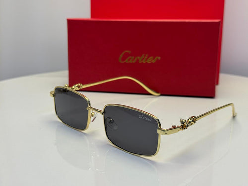 Cartier Glasses | CT0501S