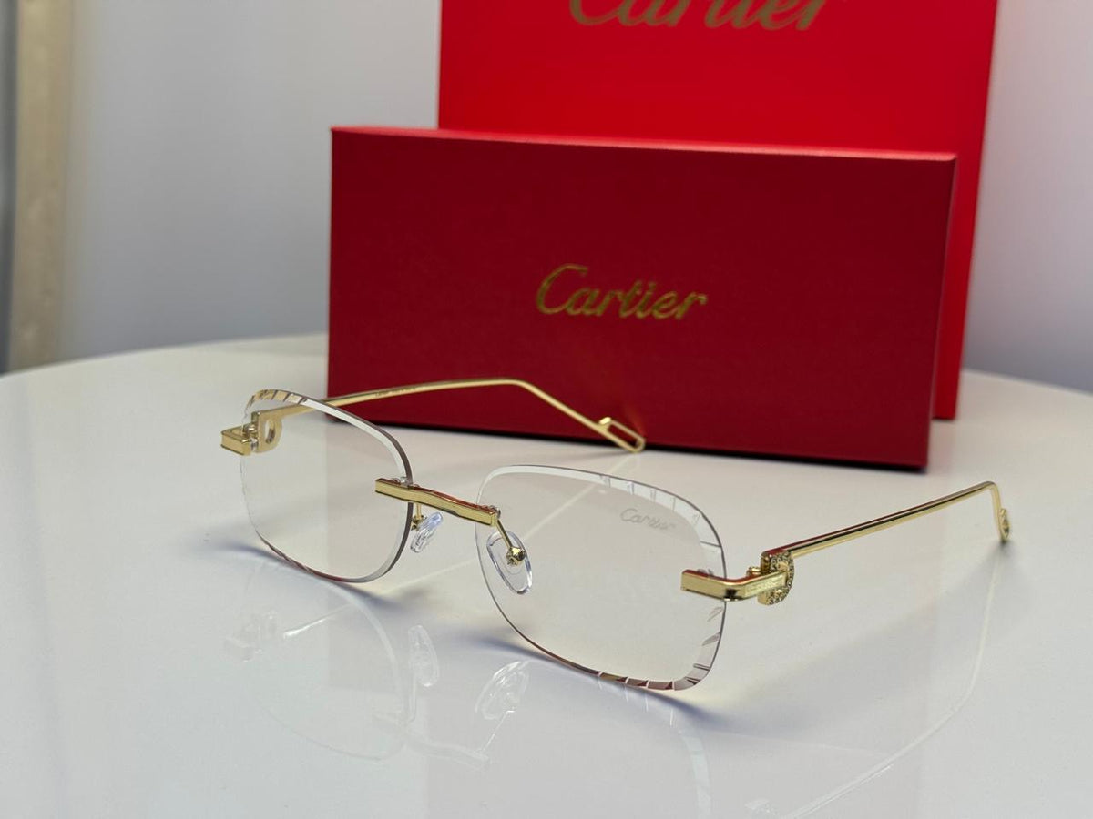 Cartier Glasses | CT0284O