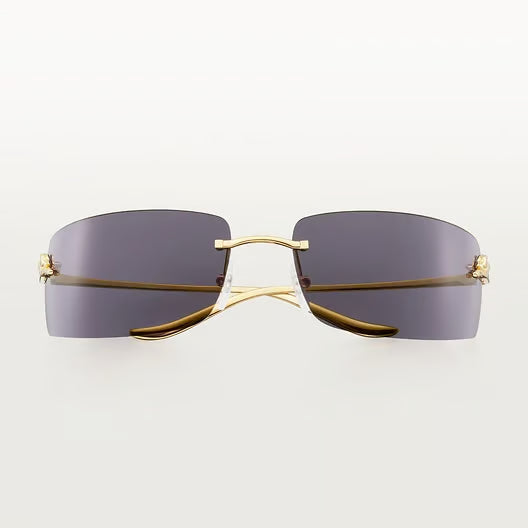 Cartier Glasses | Panthere CT0503S
