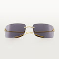 Cartier Glasses | Panthere CT0503S